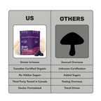 Stay Wyld Organics Brain Food+ Mushroom Gummies for Focus - 30 Servings - image 6
