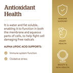 Solgar Alpha Lipoic Acid 200 mg Antioxidant Support - 50 Capsules - image 5