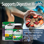 Nature's Answer Aloe Vera Phytogel Digestive Support - 90 Vegetarian Capsules - image 4