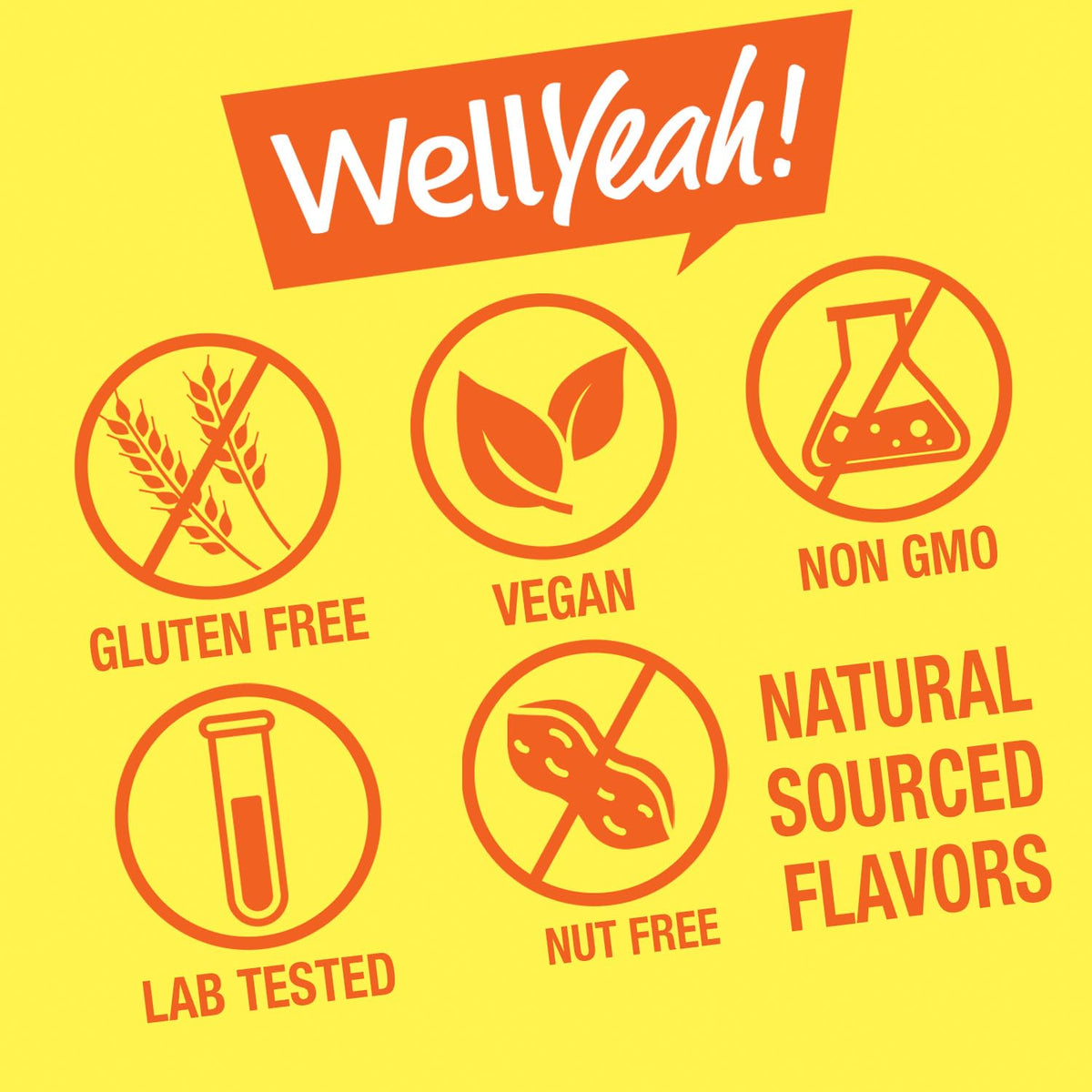 WellYeah Vitamin B12 Gummies for Kids - 60 Gummies - image 6