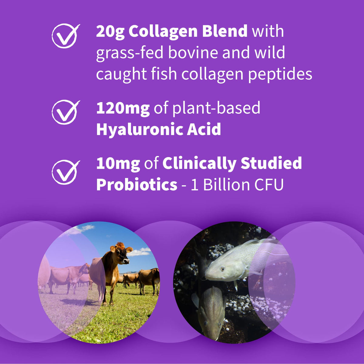 Garden of Life Multi Source Collagen Powder with Hyaluronic Acid - 12 Servings - image 5
