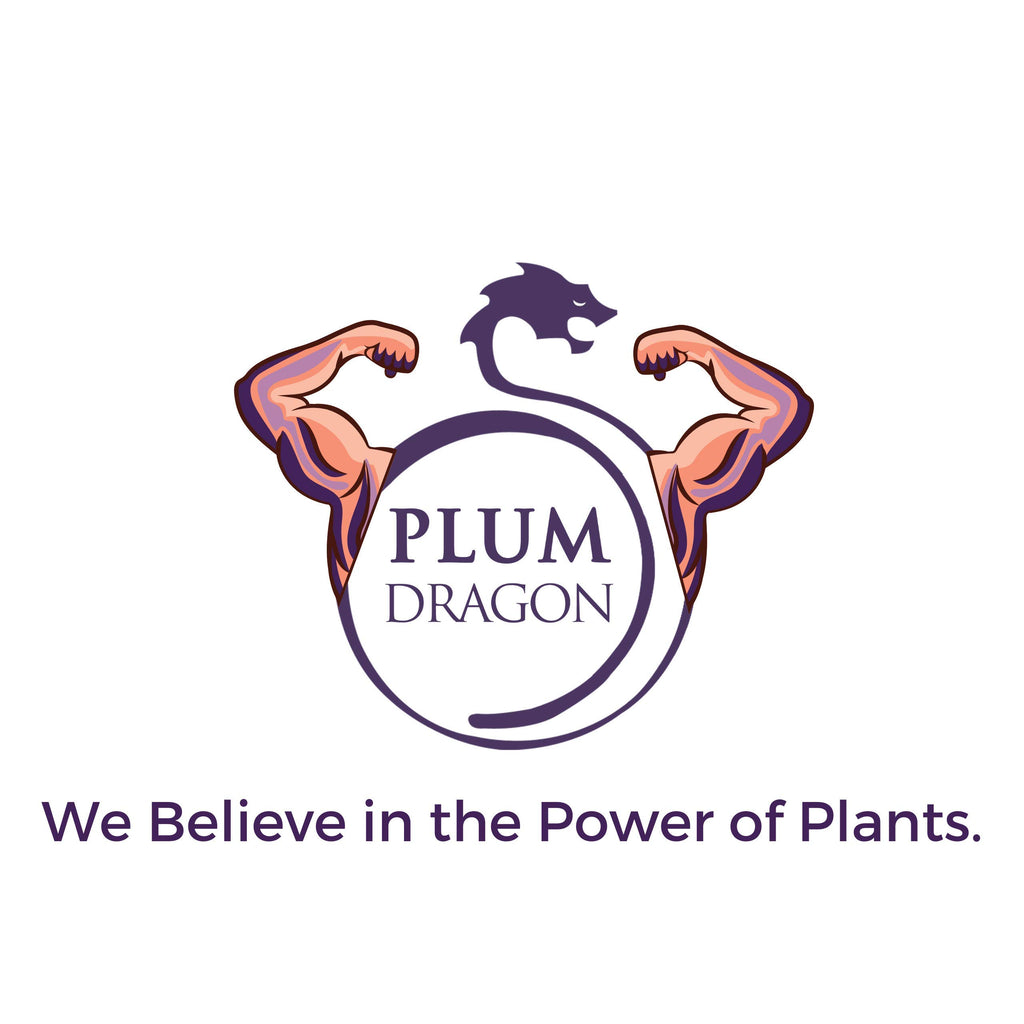 Plum Dragon Cinnamon Bark Rou Gui Chinese Herb - 1 Lb - image 3