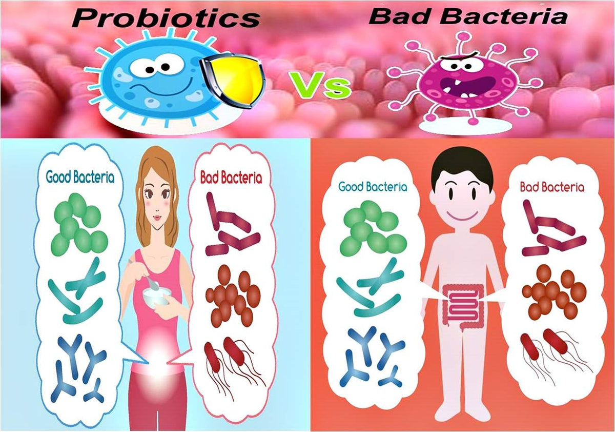 NOVA Probiotics Multi-Strain Progressive 55+ 42 Billion - 60 Capsules - image 5