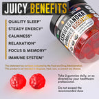 NOBLE NUTRITION Ashwagandha Gummies - Sugar Free & Vegan Ashwagandha