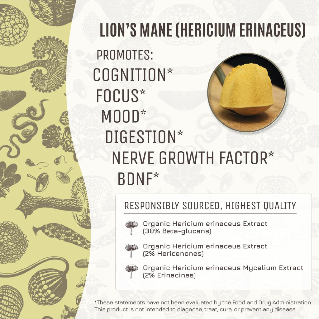 Hamilton's Lucid Lion’s Mane