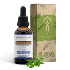 Secrets of the Tribe Andrographis Alcohol-Free Liquid Extract