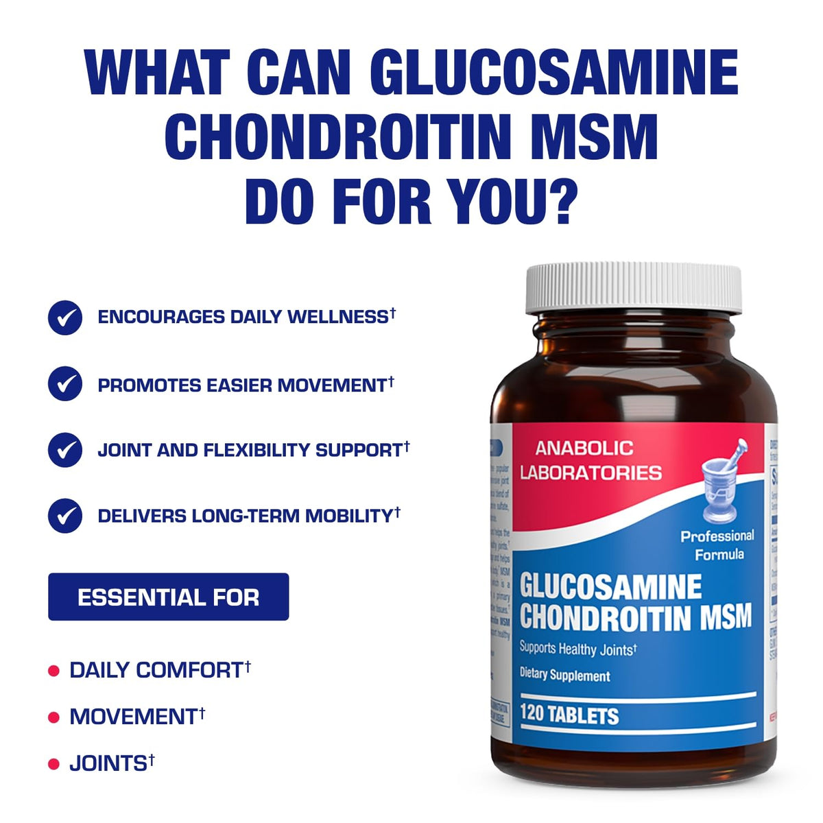 Anabolic Laboratories Glucosamine Chondroitin MSM Joint Support - 120 Capsules - image 3