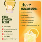 Clevr SuperTea, 18 Servings, Hydration Tea Blend with Coconut Water