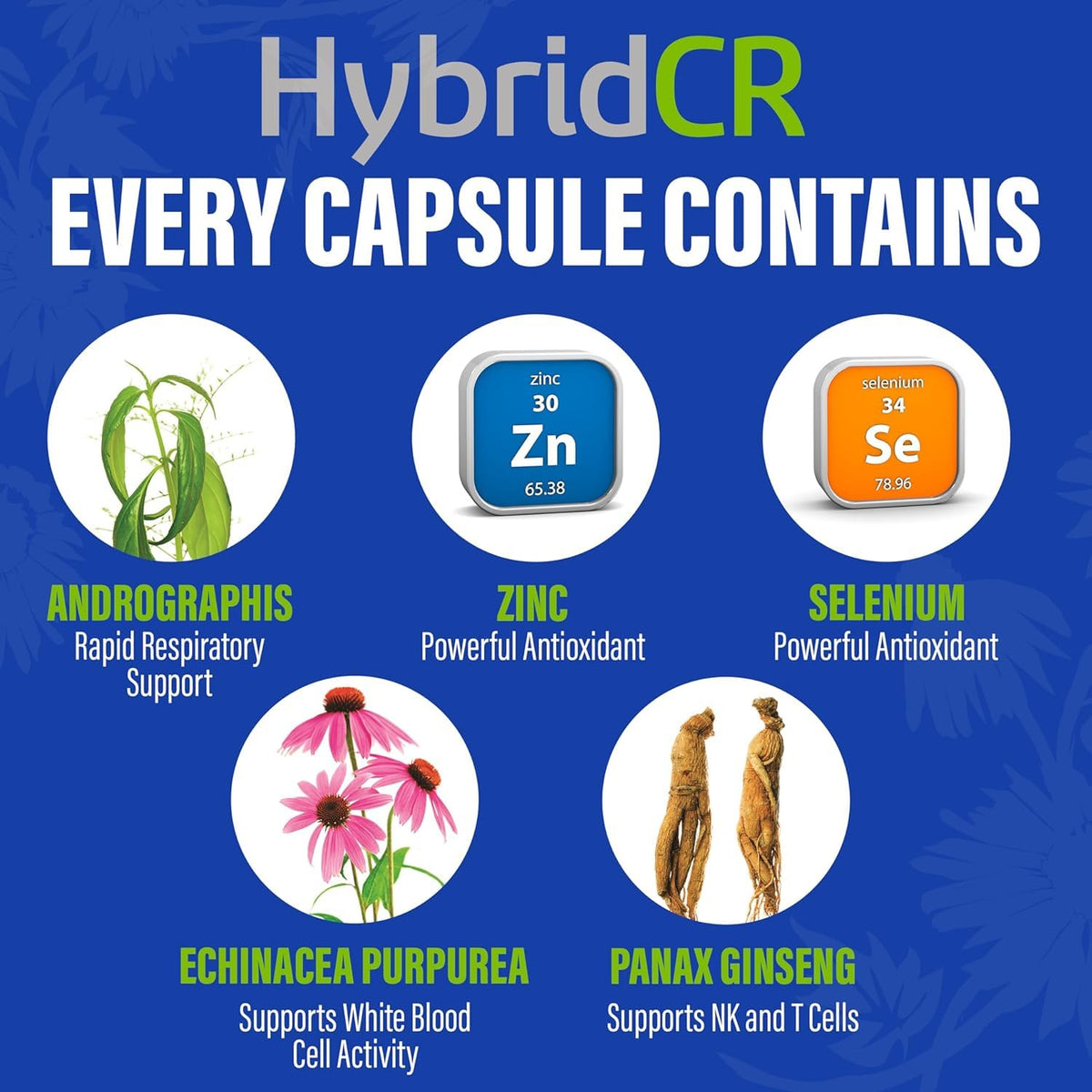 HybridCR Immune Support Supplement & Seasonal Defense for Adults