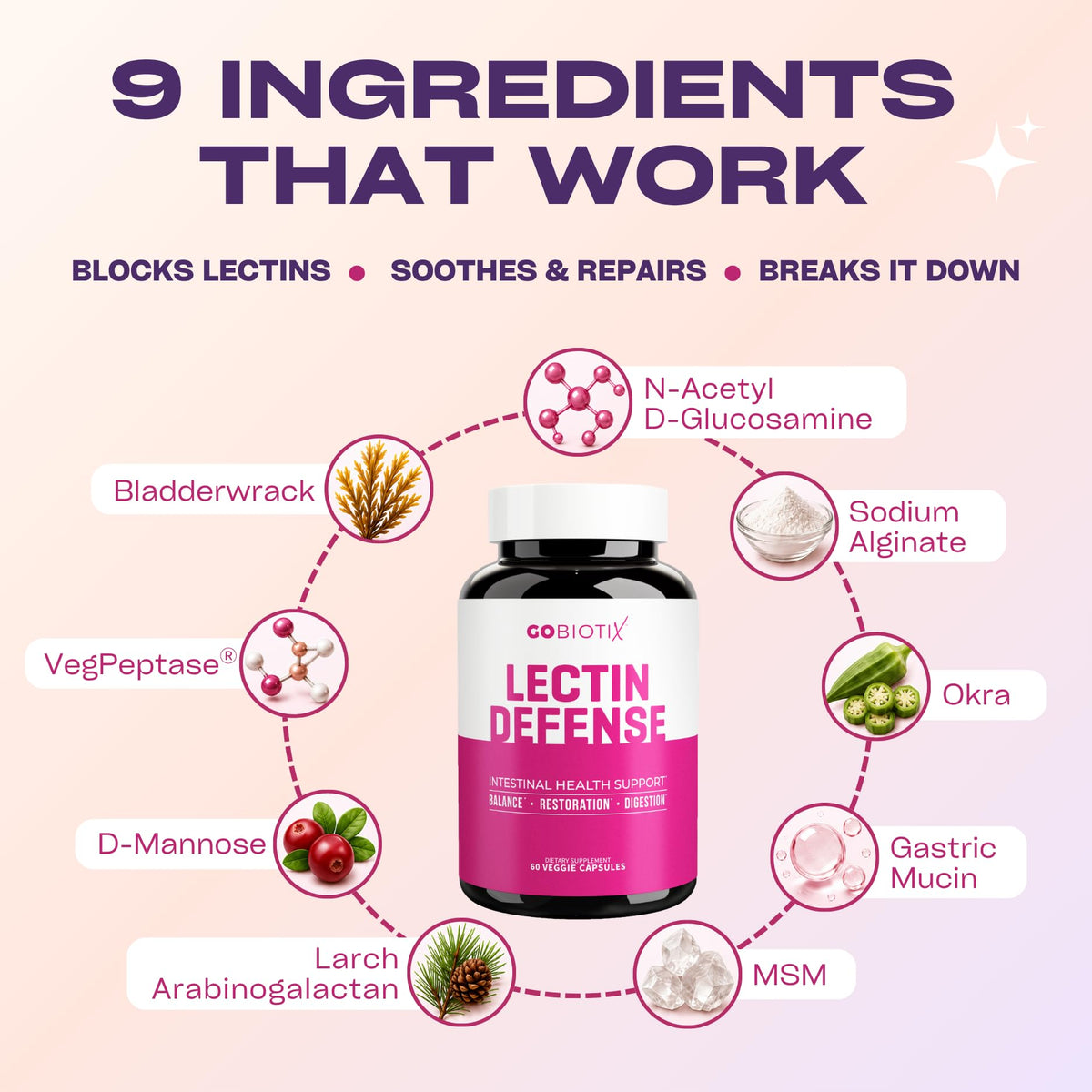GOBIOTIX Lectin Defense Digestive Enzyme - 60 Capsules - image 5