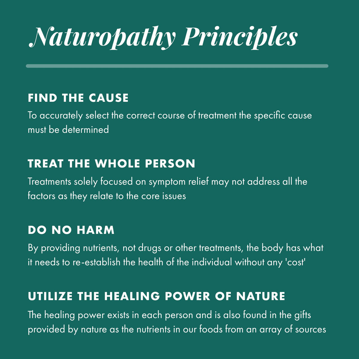 Michael's Naturopathic Progams Adrenal Factors Stress Support