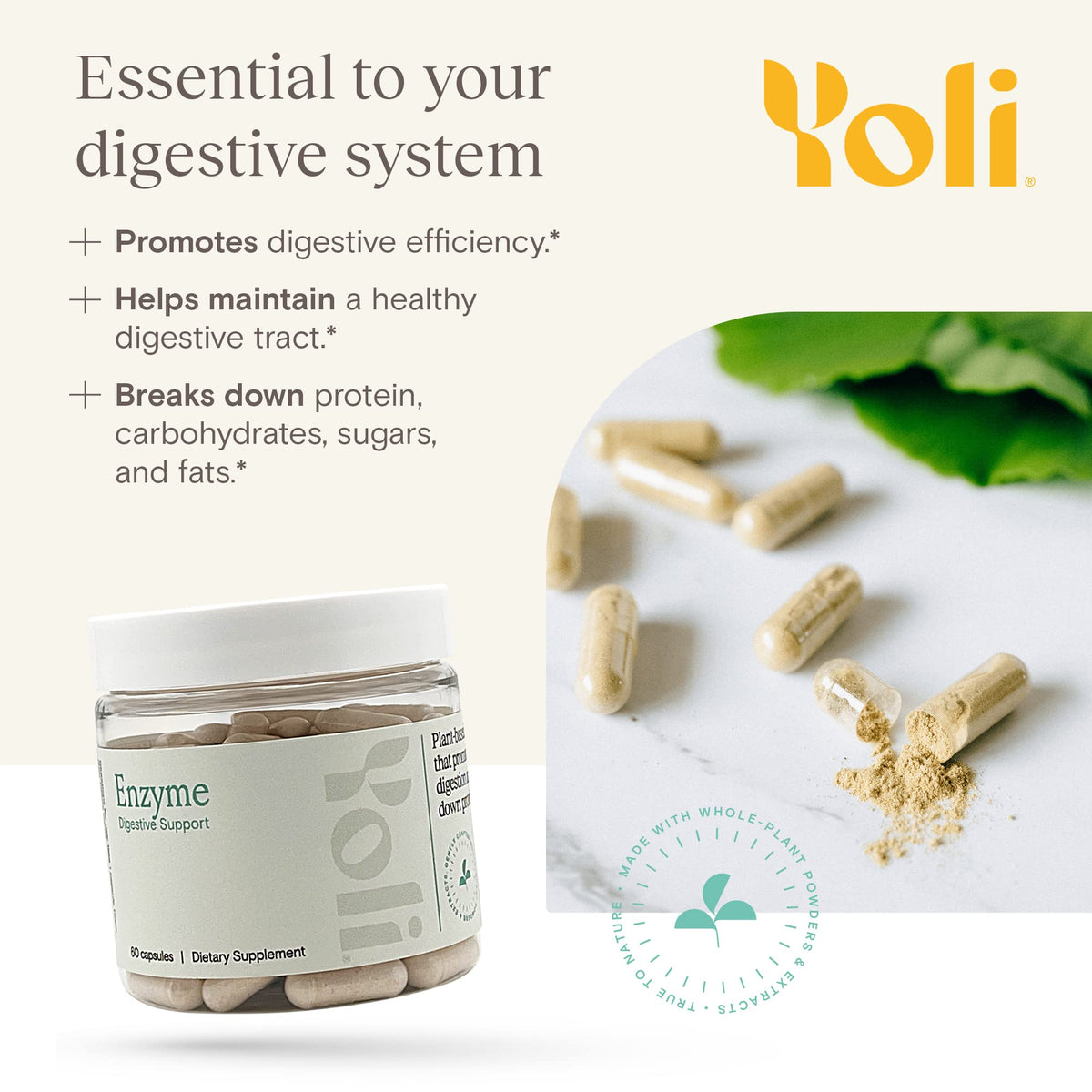 Yoli Enzyme Digestive Enzymes for Gut Health - 60 Capsules - image 2
