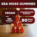 Vitabod Sea Moss Gummies with Bladderwrack & Burdock - 180 Gummies - image 4