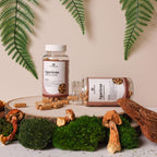 Nature Restore Agaricus Blazei Murill Mushroom Extract - 90 Capsules - image 4