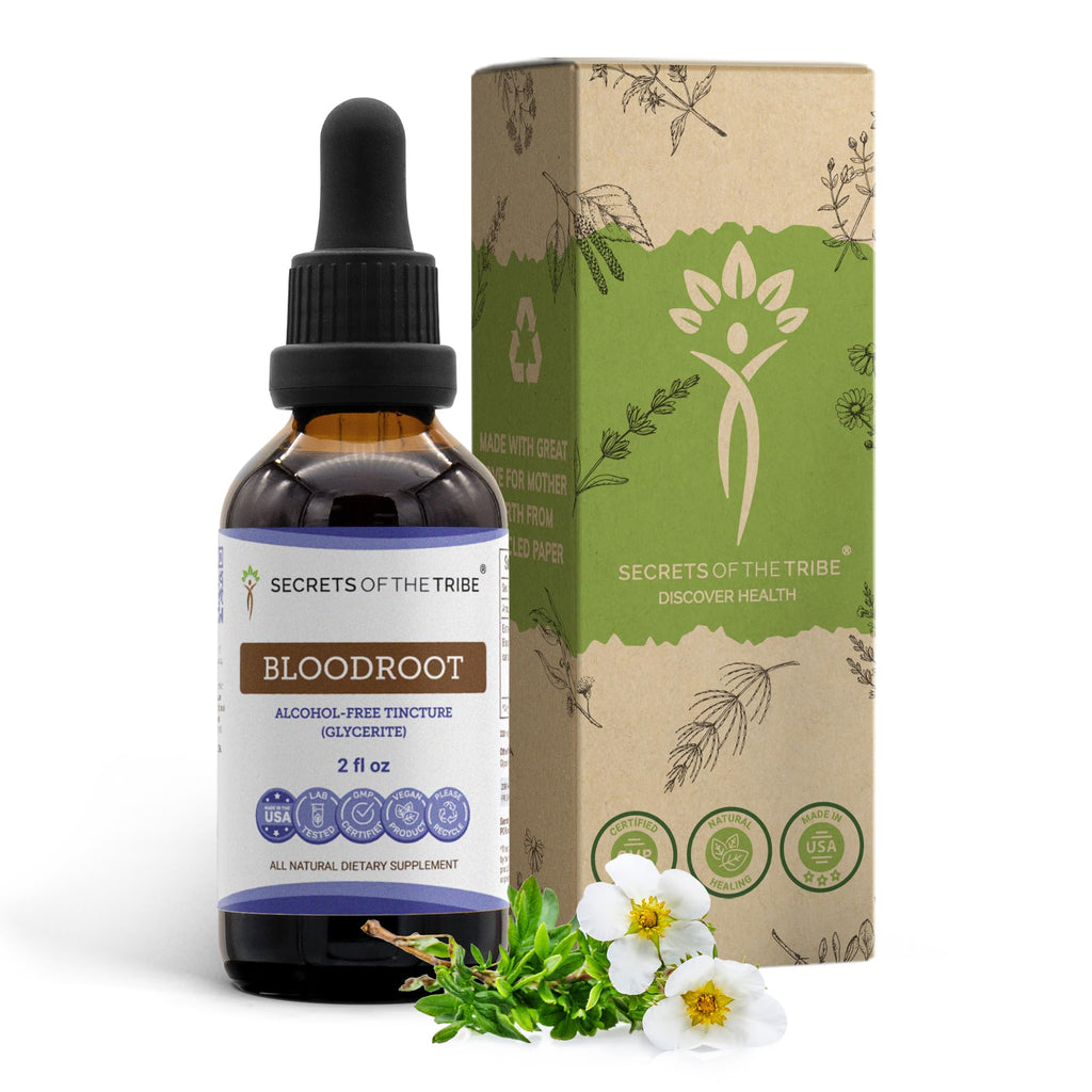Secrets of the Tribe Bloodroot Alcohol-Free Tincture Extract