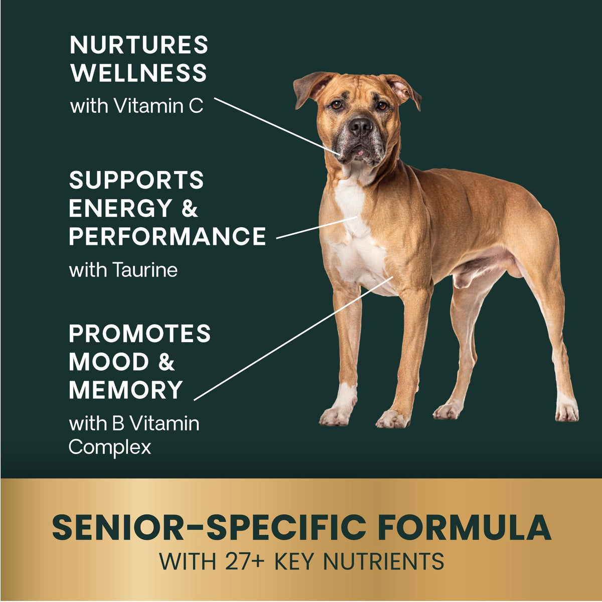 VetriScience Extra Strength Senior 27+ Multivitamin for Dogs - 60 Chews - image 4