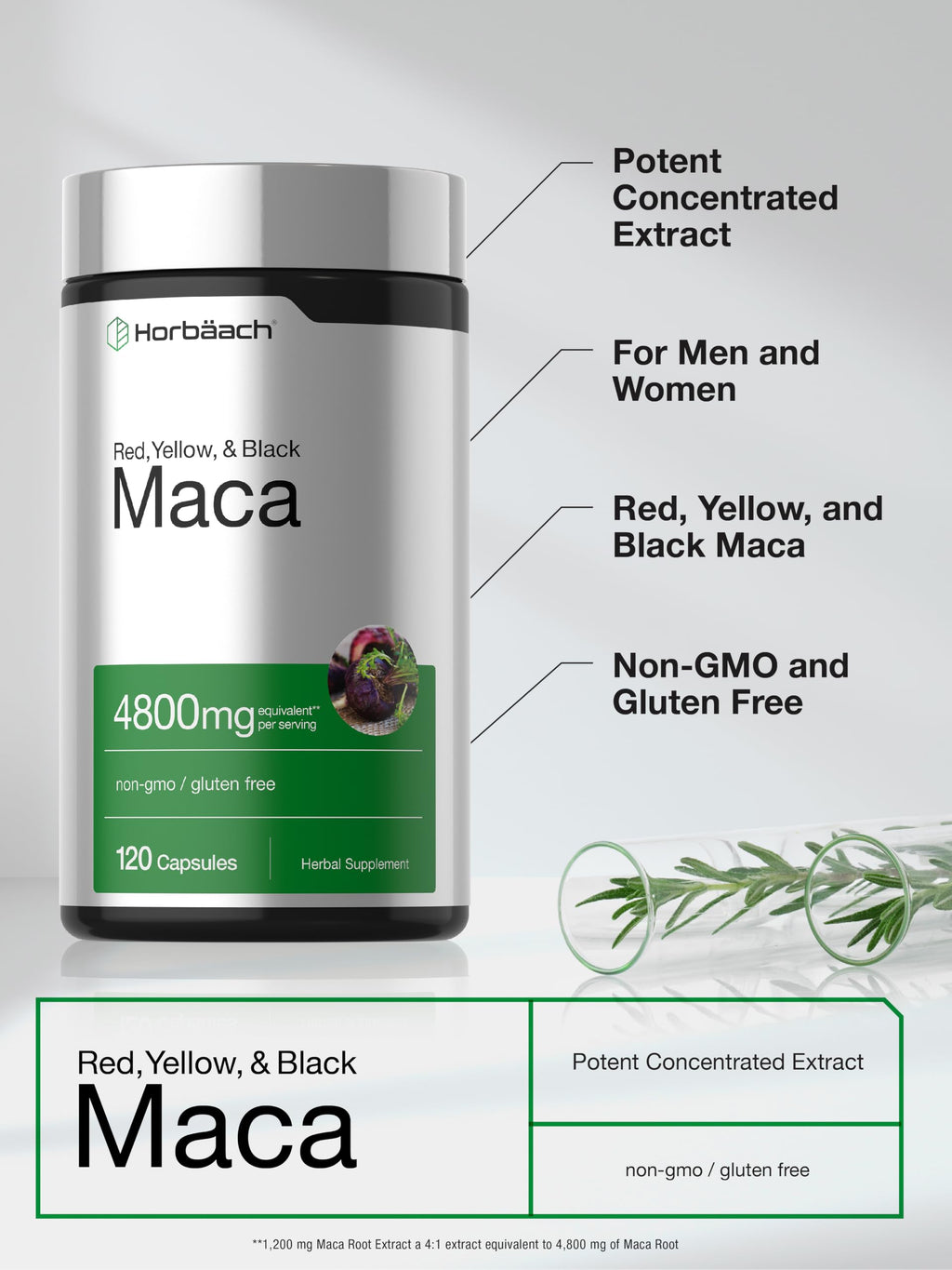 Horbäach Maca Root Capsules for Men and Women - 120 Capsules - image 4