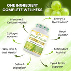 Organic Veda Amla Capsules 1500mg - 300 Capsules - image 4