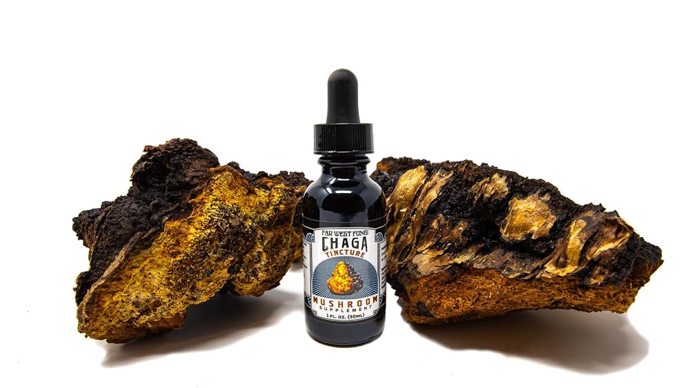 Far West Fungi Chaga Mushroom Tincture - 8 Fl Oz - image 2