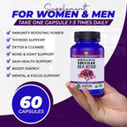 THE FOOD MOVEMENT CO. Irish Sea Moss Prebiotic - 60 Vegetarian Capsules - image 4