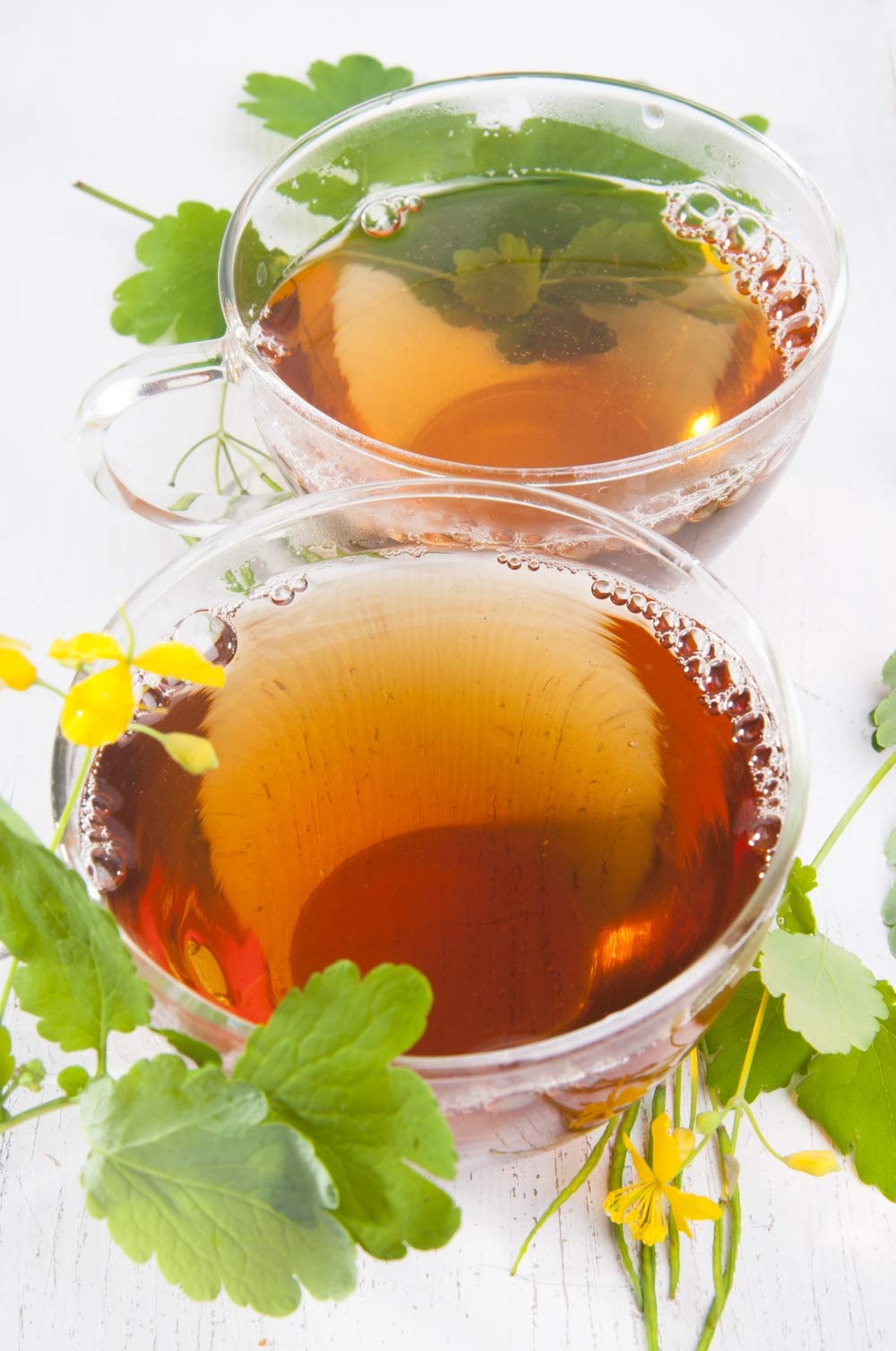 Health Embassy Greater Celandine Herb Tea - 100g - image 4