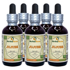 Herbal Terra LLC Jujube (Ziziphus Jujuba) Tincture