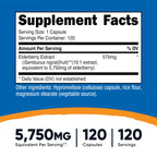 Nutricost Elderberry Capsules 575mg - 120 Vegetarian Capsules - image 2