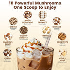 Catfit Mushroom Coffee Powder