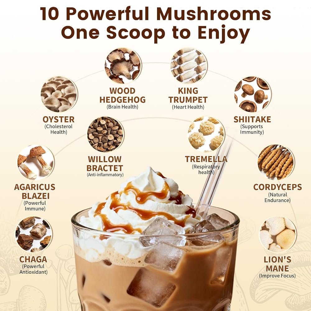 Catfit Mushroom Coffee Powder