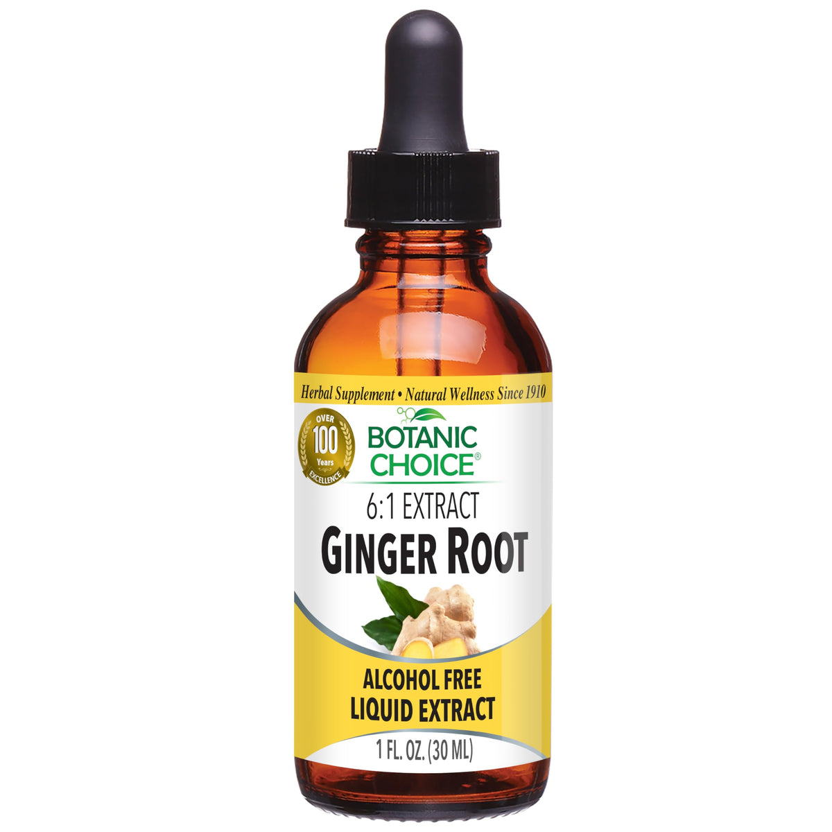 Botanic Choice Ginger Root Liquid Extract Alcohol Free - 1 fl oz