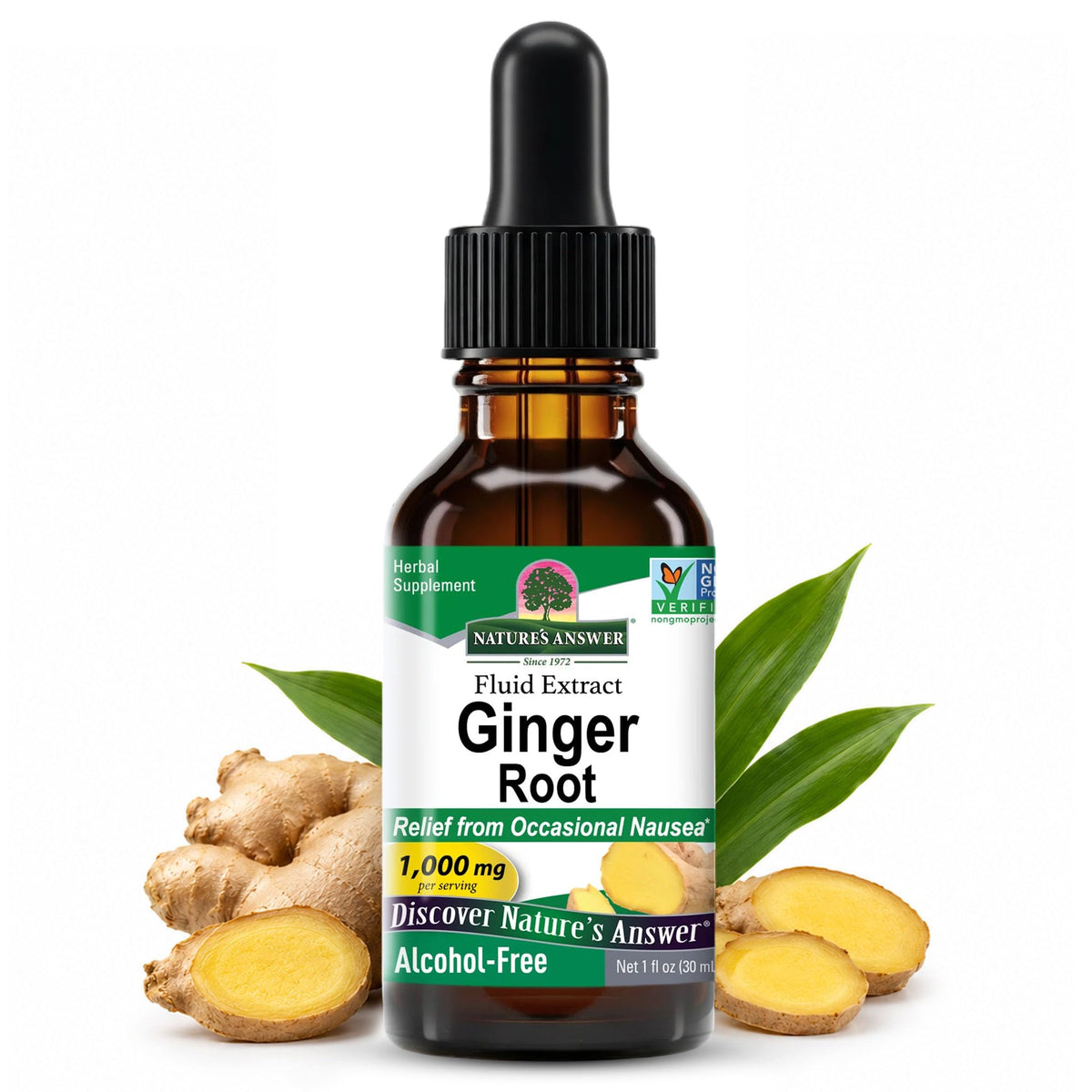 Nature's Answer Alcohol-Free Ginger Root Extract 1000mg - 1 Fl Oz