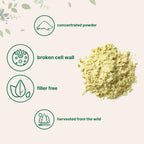 Micro Ingredients Pure Pine Pollen Powder - 6 Ounce - image 3