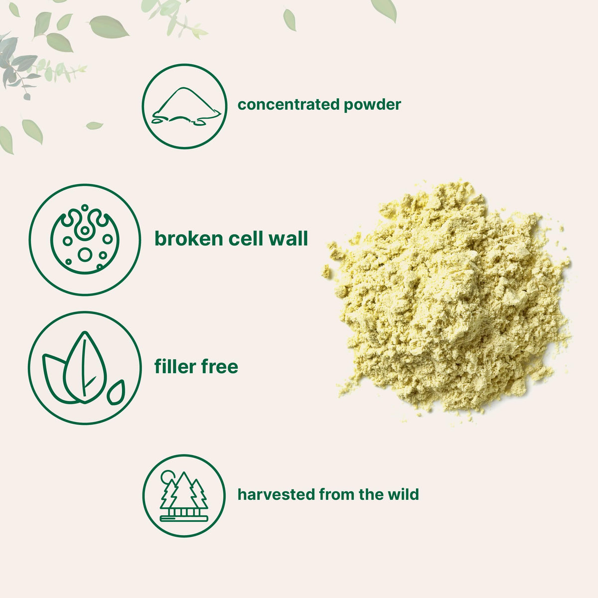 Micro Ingredients Pure Pine Pollen Powder - 6 Ounce - image 3