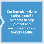Life Extension Dog Mix Multivitamin Powder - 60 Servings - image 7