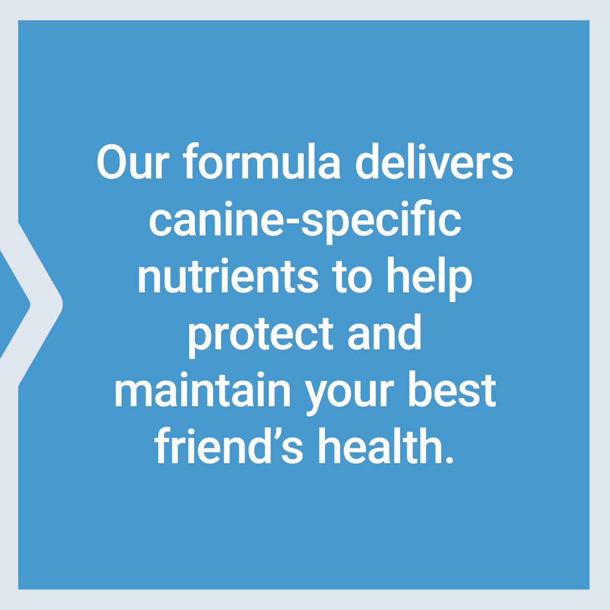 Life Extension Dog Mix Multivitamin Powder - 60 Servings - image 7
