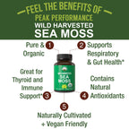 Peak Performance Organic Irish Sea Moss Capsules - 60 Count - image 2