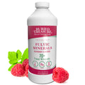 Buried Treasure Fulvic Mineral Complex Liquid - 33 Fl Oz