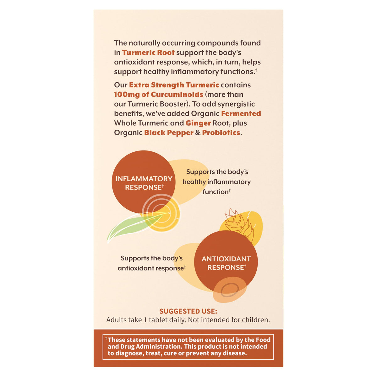 Garden of Life Organics Turmeric Extra Strength