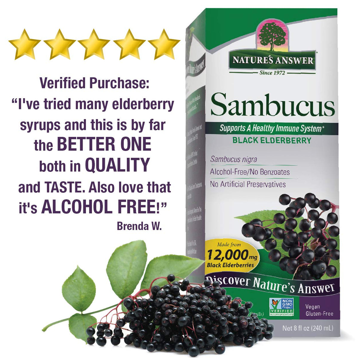 Nature's Answer Sambucus Elderberry Extract Immune Support - 16 Fl Oz - image 4