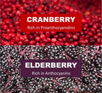 Immunia Cranberry & Elderberry Concentrate - 3-Pack - image 6