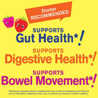 WellYeah Kids Probiotic Gummies with Prebiotic Fiber Sugar Free - image 6