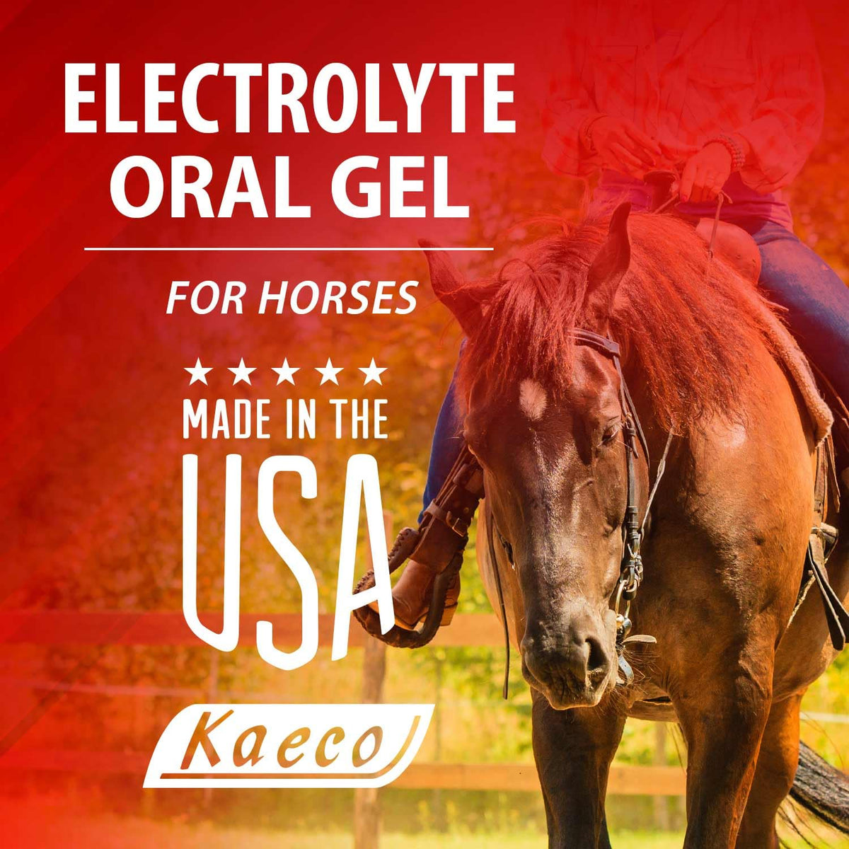KAECO Electrolyte Oral Gel - 30 mL - image 3