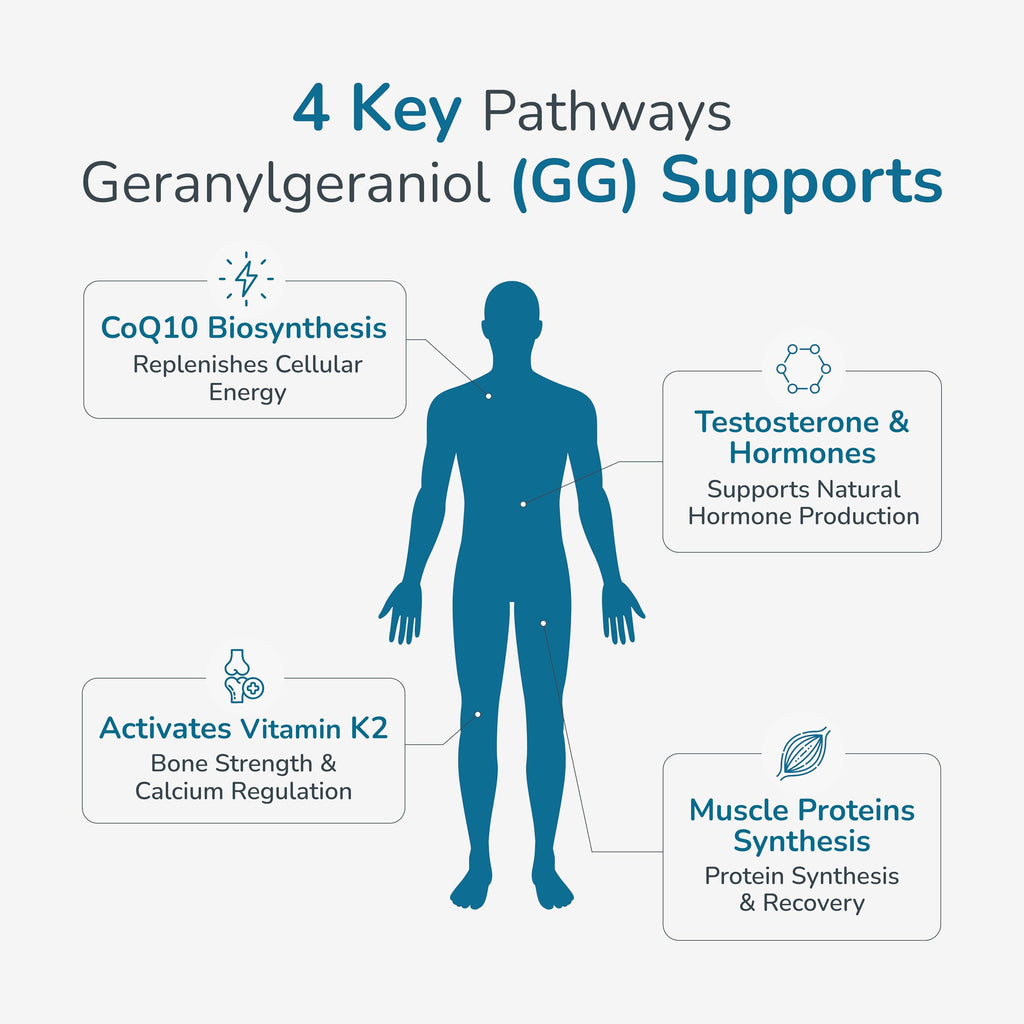 WELLNESS EXTRACT Geranylgeraniol GG 150mg CoQ10 Support - 60 Softgels - image 5