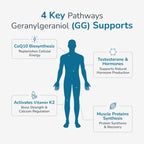 WELLNESS EXTRACT Geranylgeraniol GG 150mg CoQ10 Support - 60 Softgels - image 5