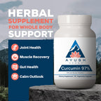 Ayush Herbs Curcumin 97% Turmeric Supplement - 90 Capsules - image 2
