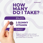 PAYÉ Elderberry Gummies Immune Support