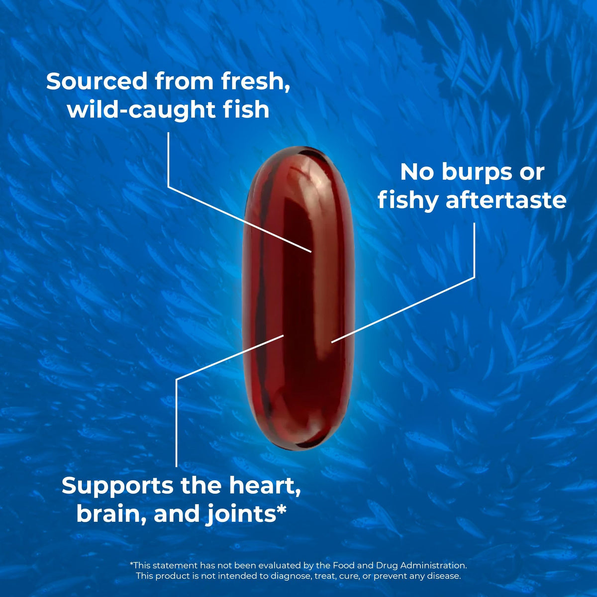 OMAPURE Fish Oil Omega-3 Triple Strength - 1200 Softgels - image 4