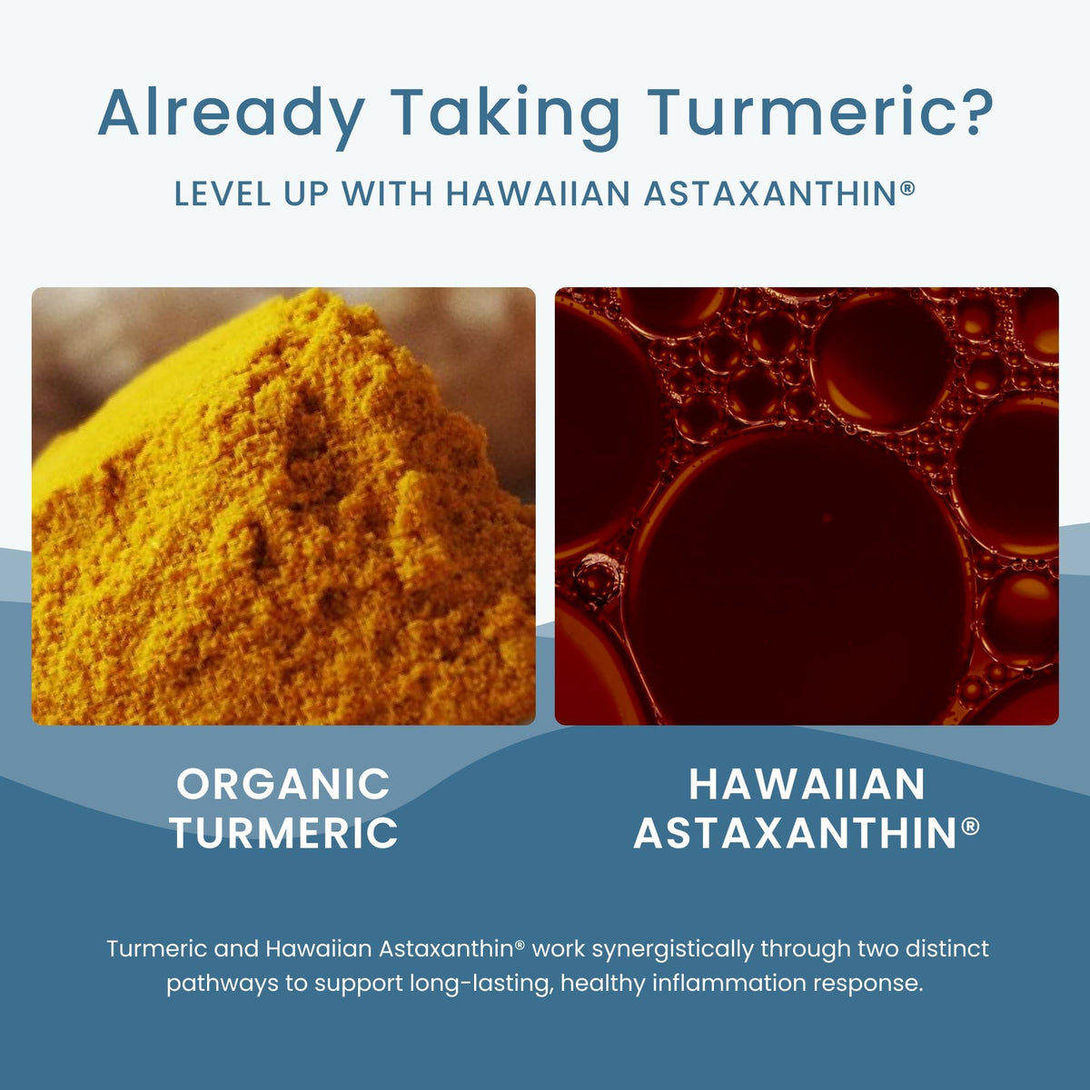 Nutrex Hawaii TurmericAstin Turmeric & Astaxanthin - 30 Softgels - image 5