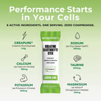 MYOXCIENCE Electrolyte STIX
