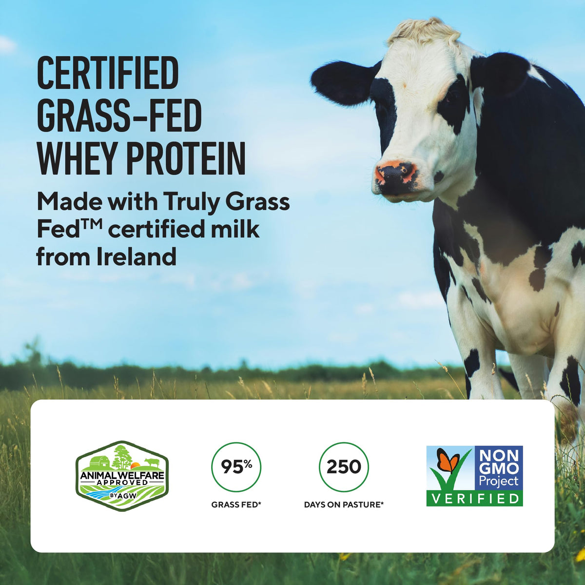 LEGION Whey+ Protein Whey Isolate from Grass Fed Cows - Whey Protein
